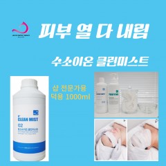 [진여수]수소이온클린미스트 1000ml (하양이)