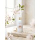 [주간이벤트/2+1] 포이아로마 아케비아 R. 앰플 80ml 2+1 (1개 구매 가능)
